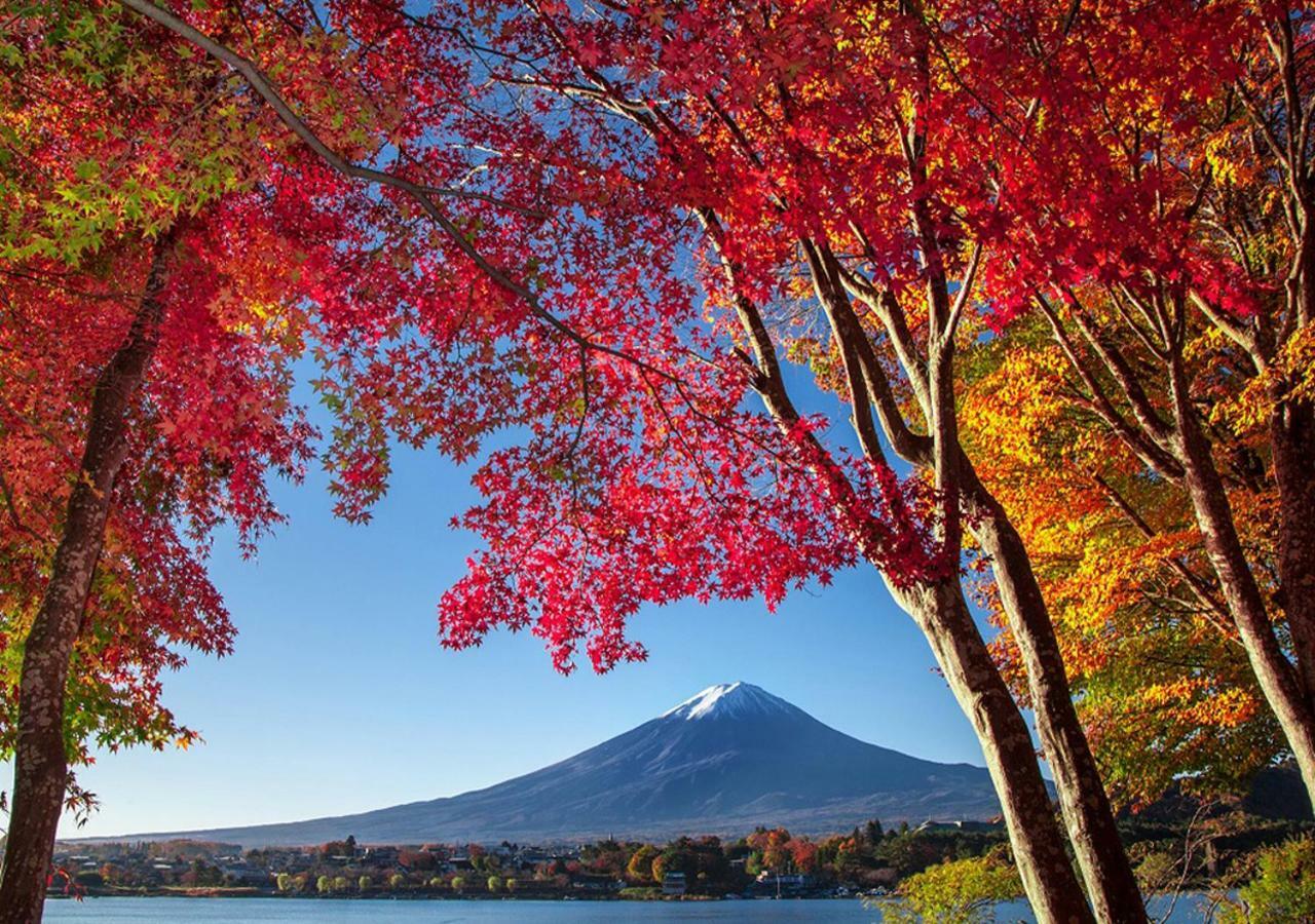 Villa 富士山金魚 Fujisan Kingyo à Fujikawaguchiko Extérieur photo
